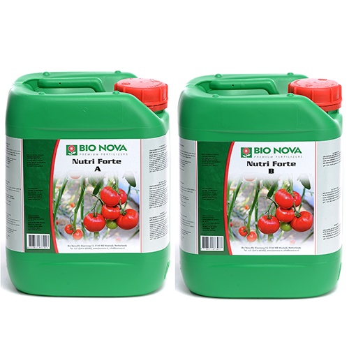 Bio Nova Nutri Forte A+B – Zweikomponenten-Dünger für Hydrokulturen
