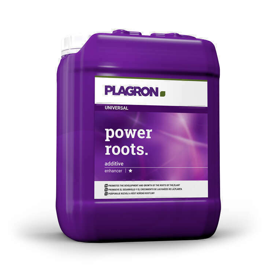 Plagron Power Wurzel