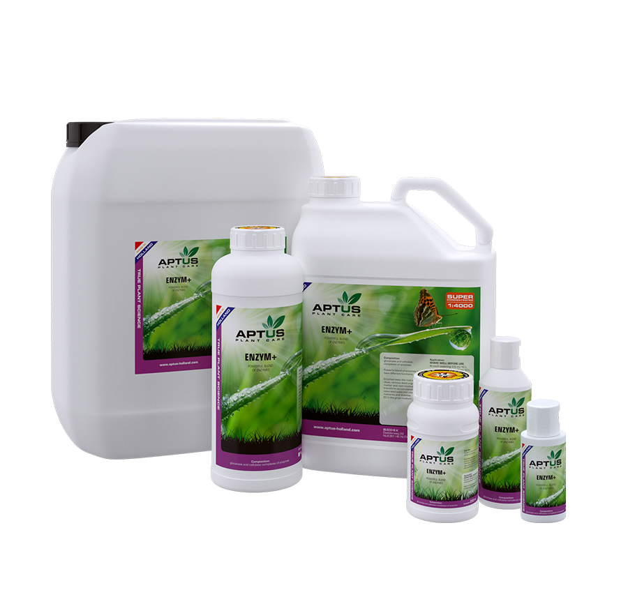 Aptus Enzym+
