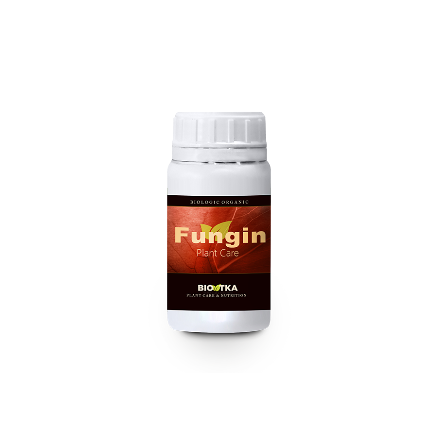 Bio TKA Fungin
