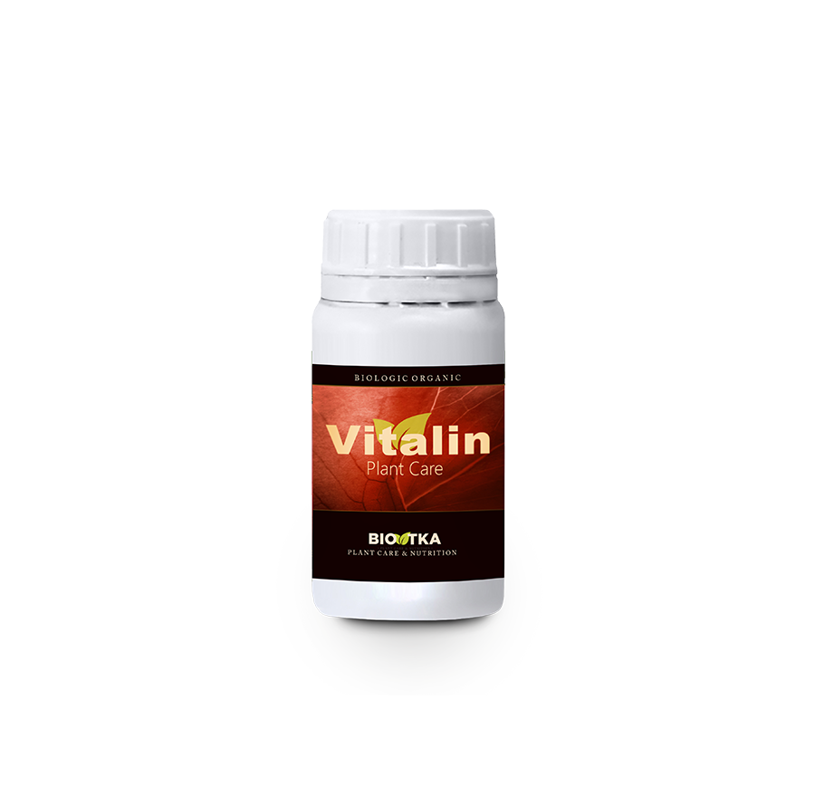 Bio TKA Vitalin