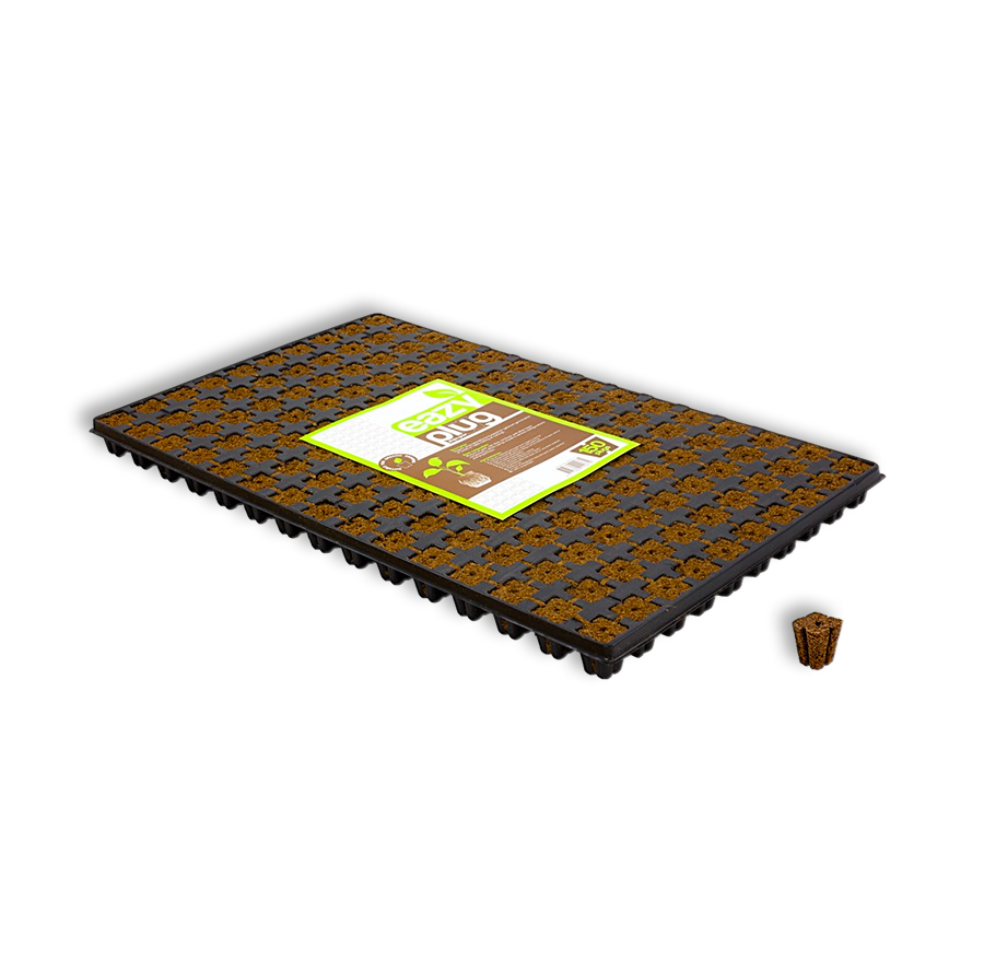 Eazy Plug Anzuchtblöcke Quadratisch 2x2 cm 150 Stück Pro Tray