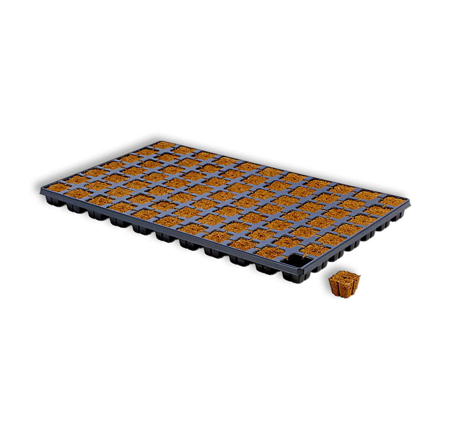Eazy Plug Anzuchtblöcke Quadratisch 4x4 cm 77 Pro Tray