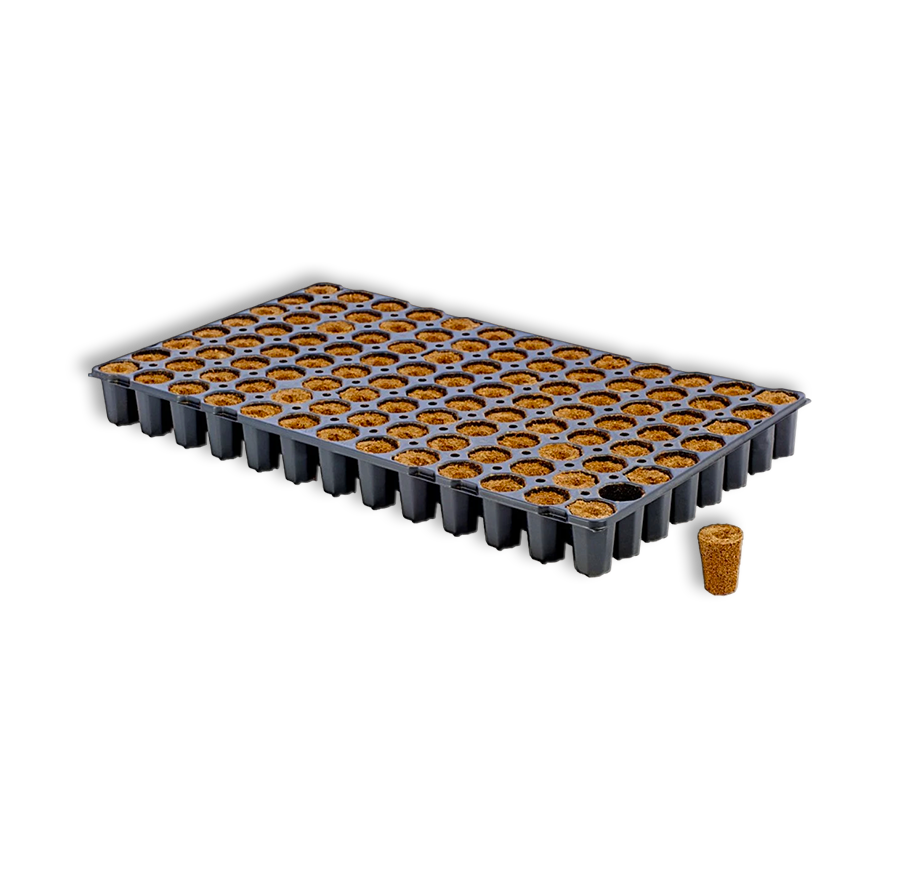 Eazy Plug Anzuchtblöcke Rund Ø3,5x5 H cm 104 Stück Pro Tray
