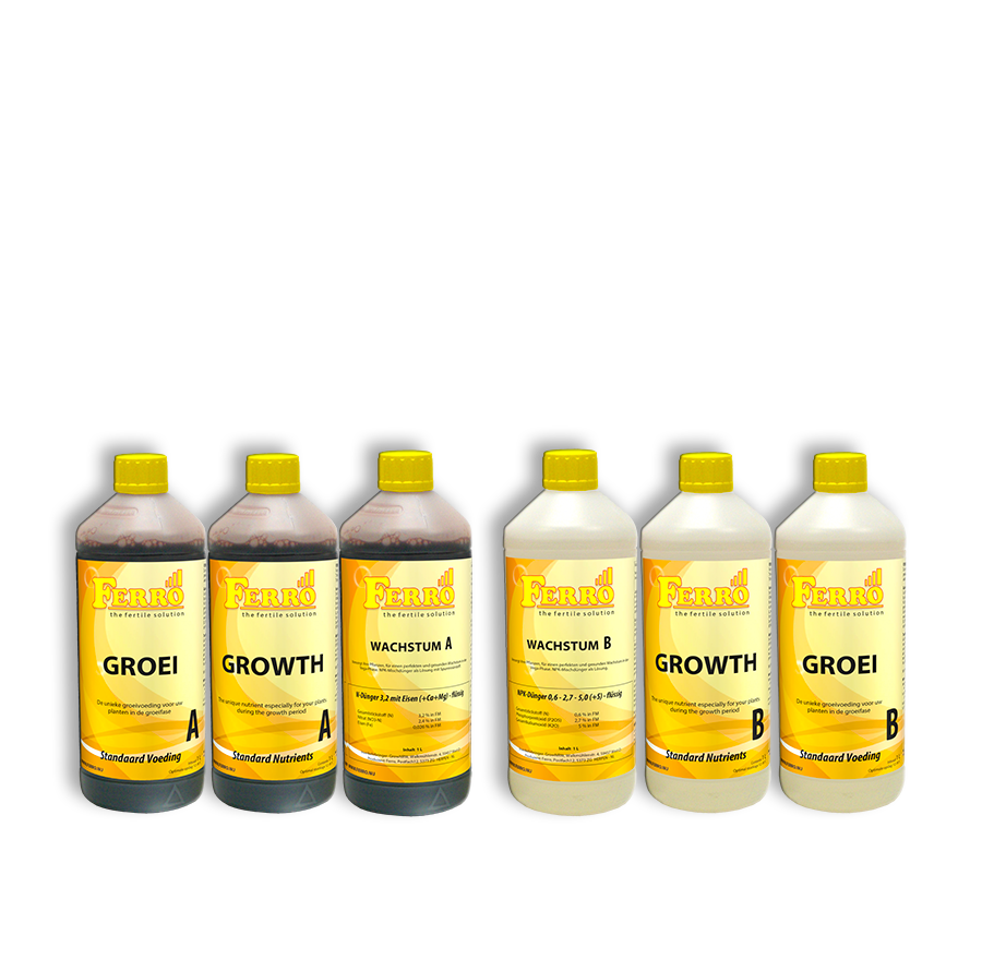Ferro Erde / Hydro Blüte A+B