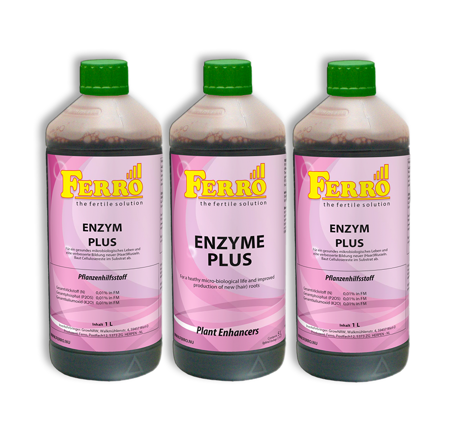 Ferro Enzym Plus