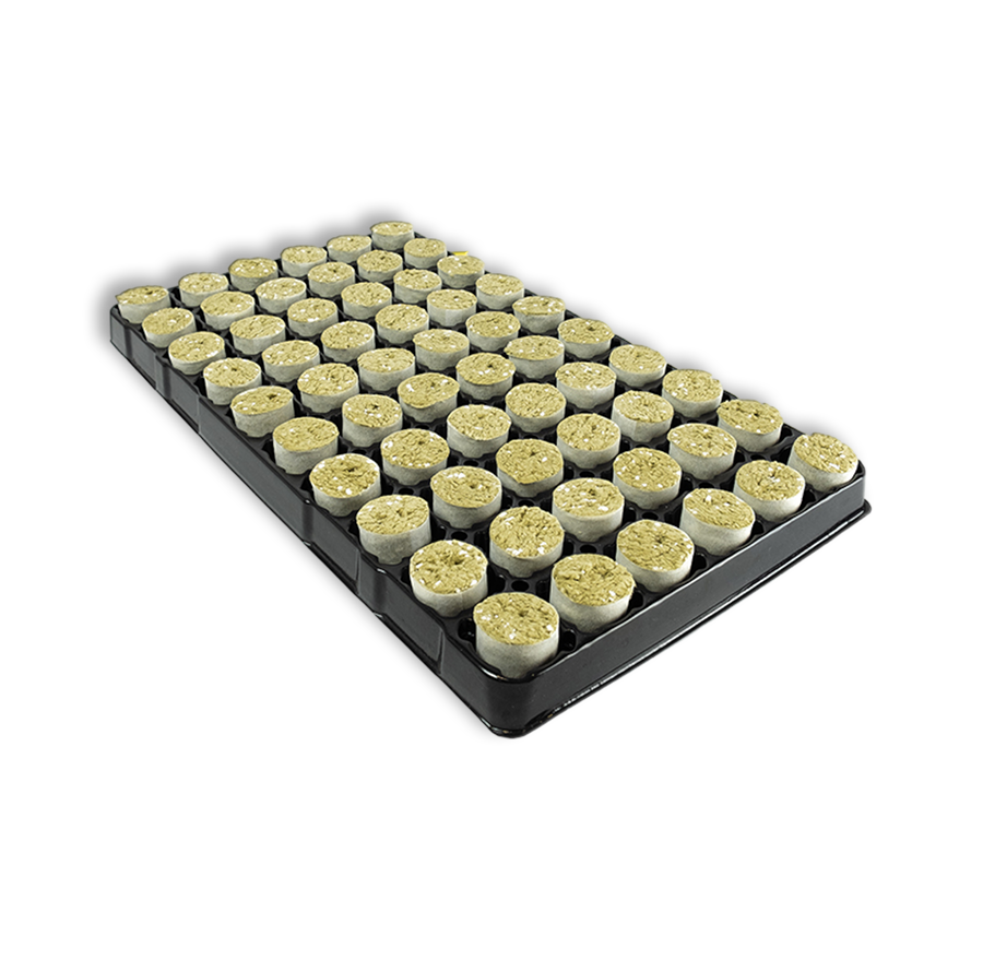 Hestro Paperbus Steinwolle Plugs Gelocht 8 Trays pro Karton