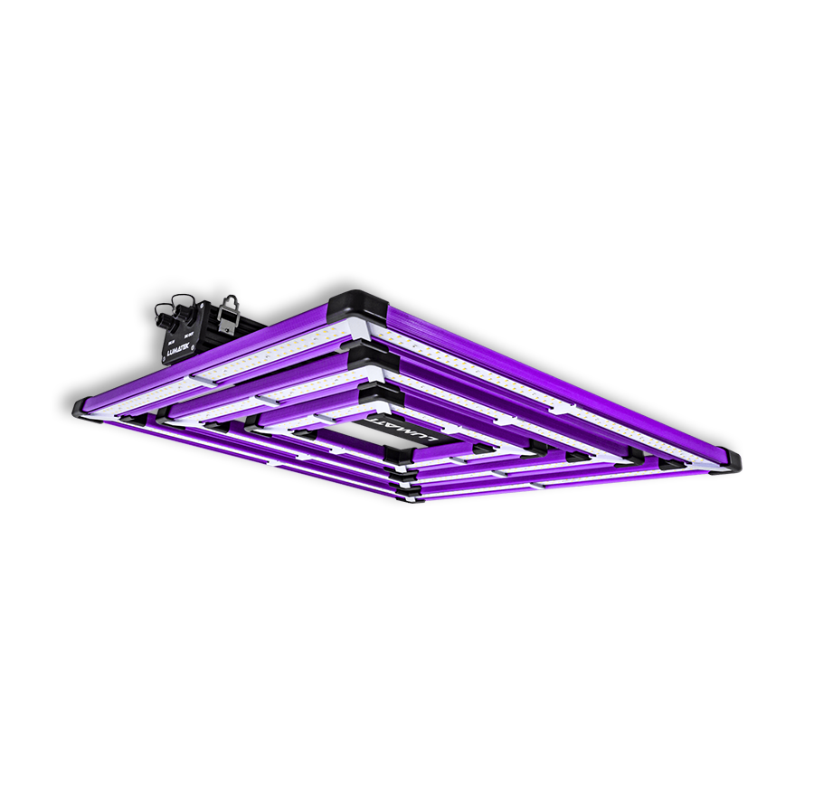 LUMATEK ATS 300w Pro