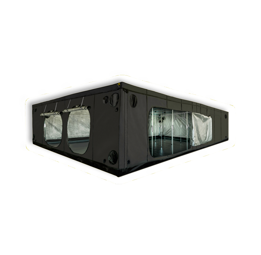 Mammoth Elite S.A. (Stand Alone) Growzelt