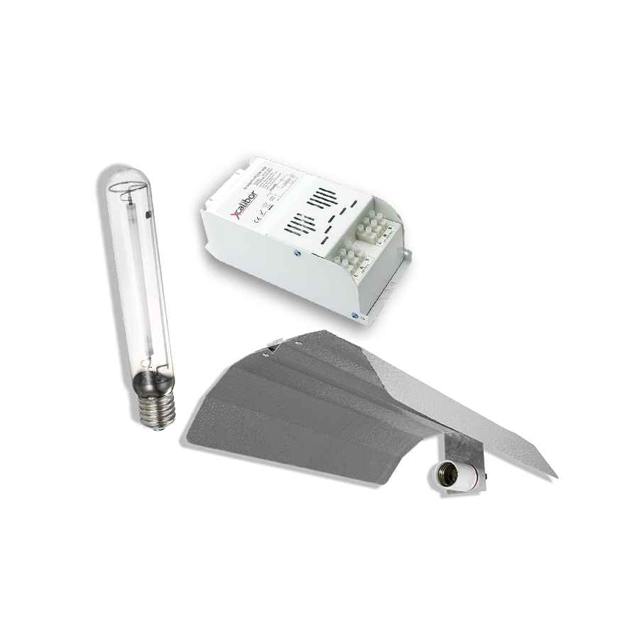 Compact 600w Set mit Hammerschlagkappe